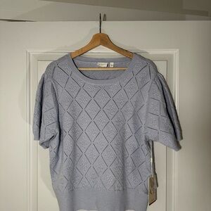 Cyrus Women's Soft Blue Crew Neck Sweater